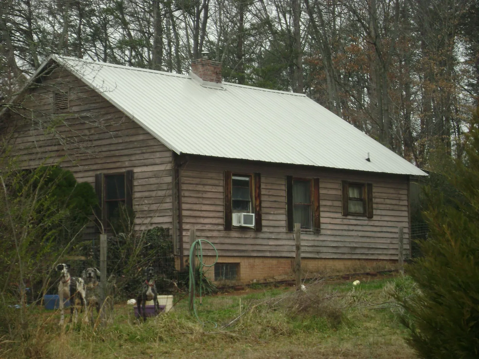 White metal roof on an old wood sided farmhouse, from a Asphalt Shingle Roof Repair job in Lynd